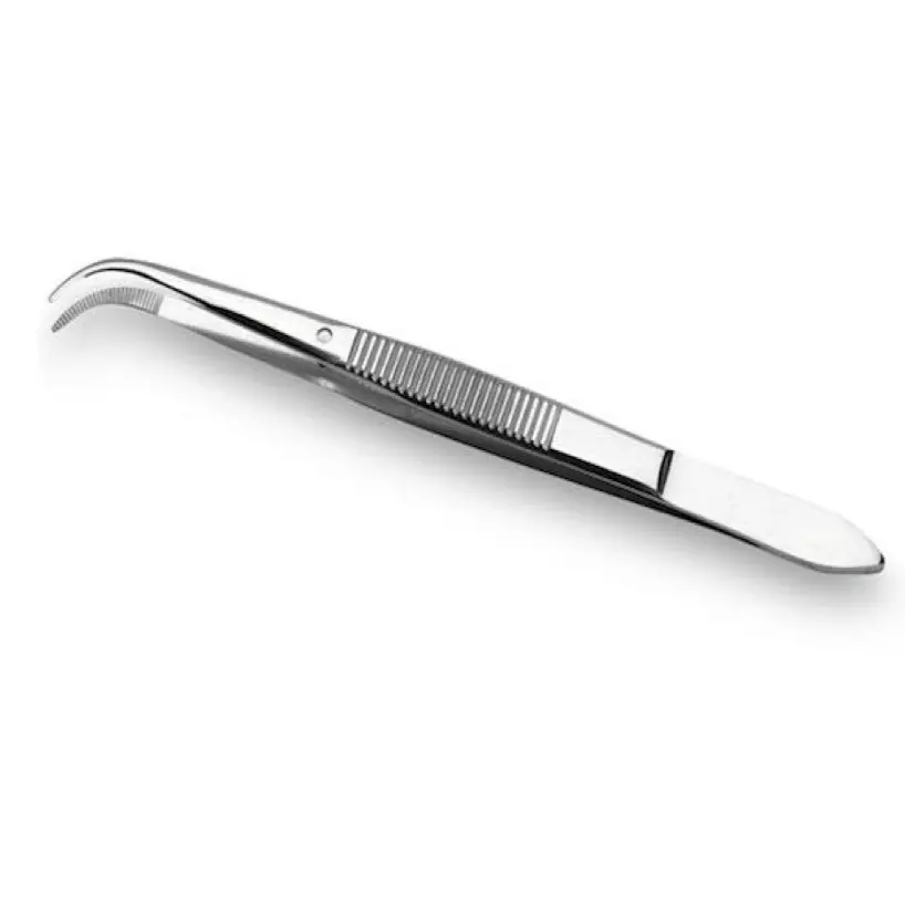 Dissecting Forceps, Curved, Fine Tipped, 15 Cm 1