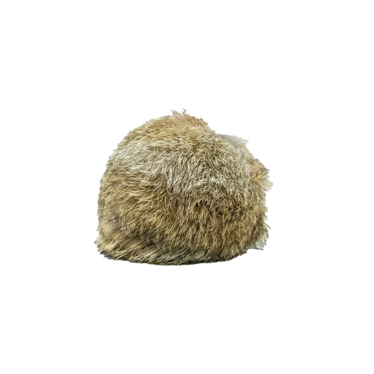 Dog & Field Dummy Rabbit Ball 1