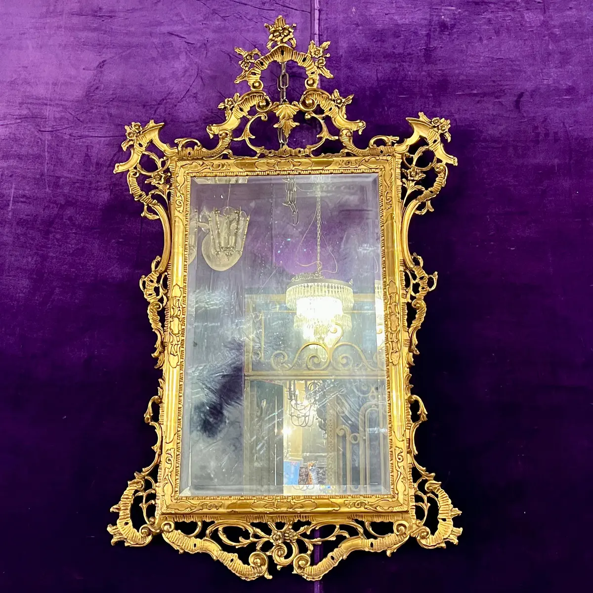 Carved Giltwood Rococo Mirror With Pierced Frame, 19Th Century 1