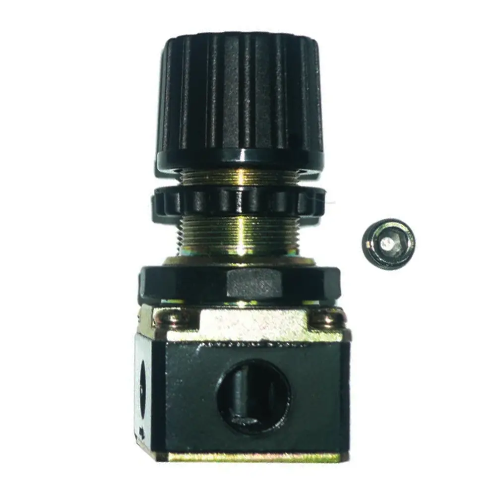 Workquip Replacement Regulator Suits 02210 & 02220 Series X02210-14 1