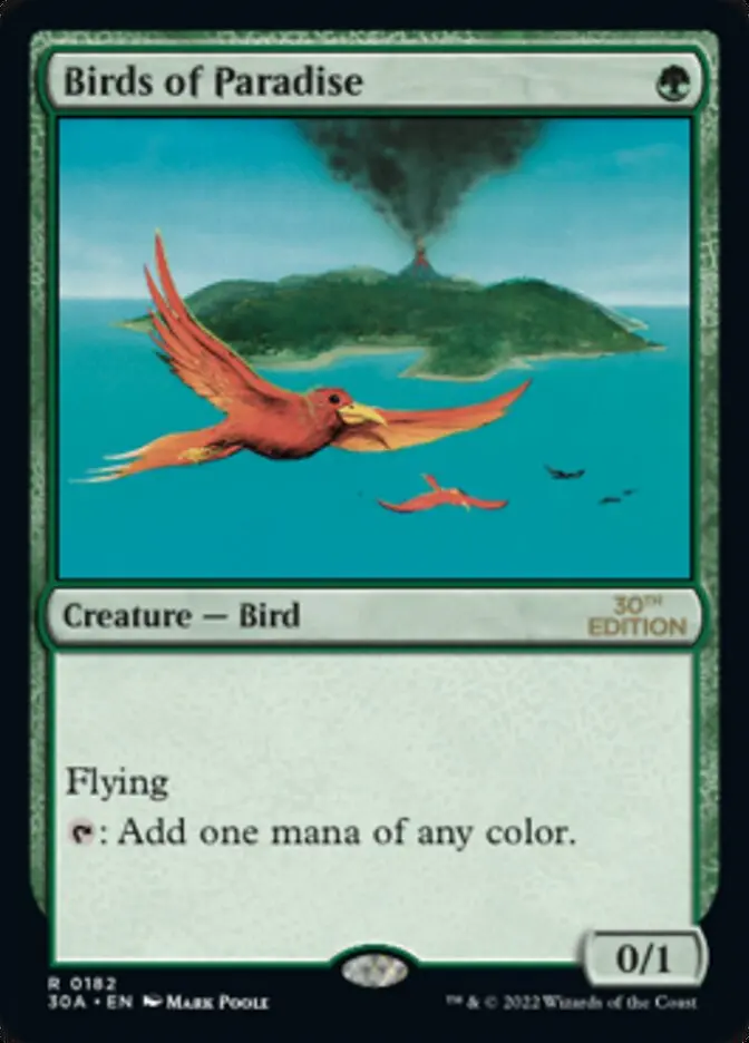 Birds Of Paradise [30Th Anniversary Edition] 1