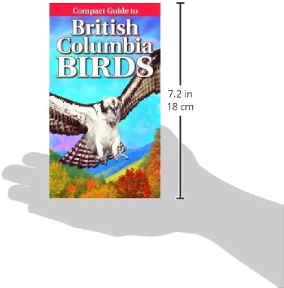 Compact Guide To British Columbia Birds 1