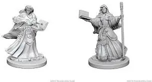 D&D Miniatures: Human Wizard (Female) 1