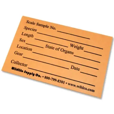 Fish Scale Envelopes, Pre-Printed Manilla, Pkg/100 1