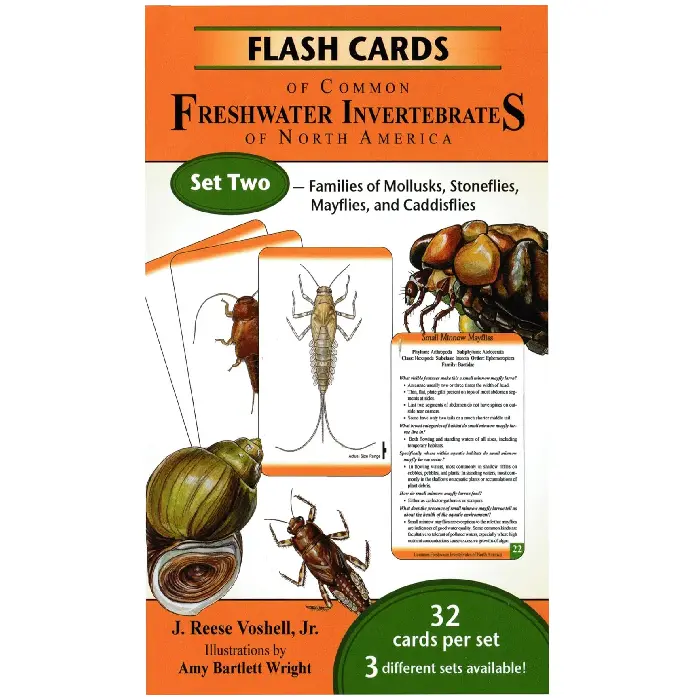 Flash Cards Of Common Freshwater Invertebrates Of North America - Set Two 1