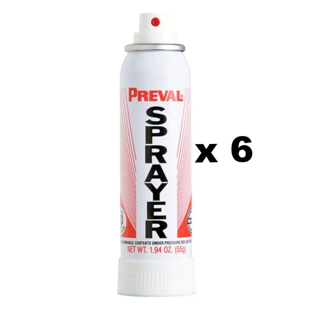 Preval Replacement Compressor Power Unit 55Gm Paint Spray System X 6 1