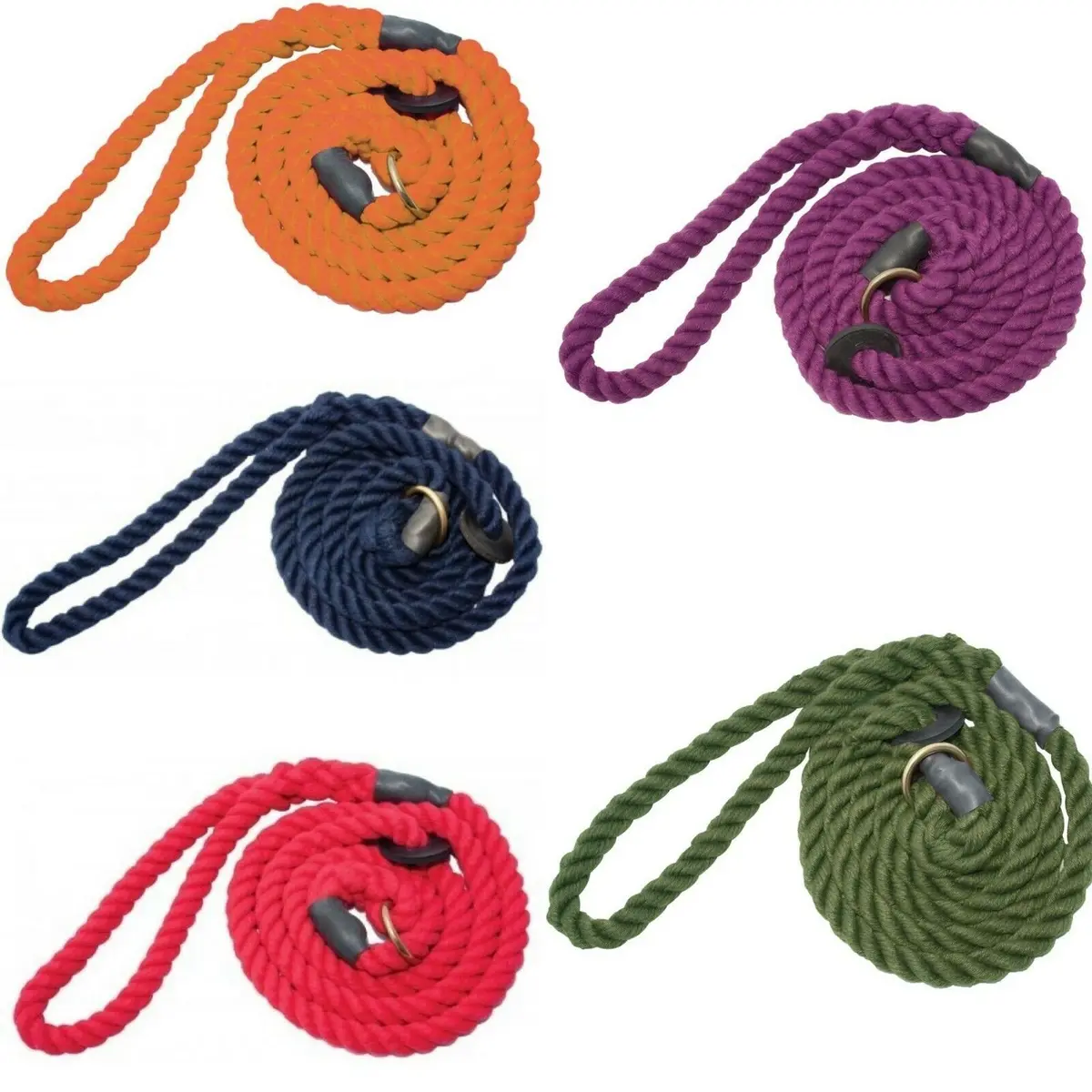 Bisley Elite Dog Slip Lead 1