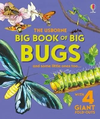 Emily Bone: Big Book Of Big Bugs [2025] 1