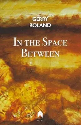 Gerry Boland: In The Space Between [2016] Paperback 1
