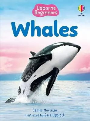 James Maclaine: Beginners Whales [2025] 1