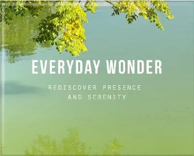 The School Of Life: Everyday Wonder [2025] 1